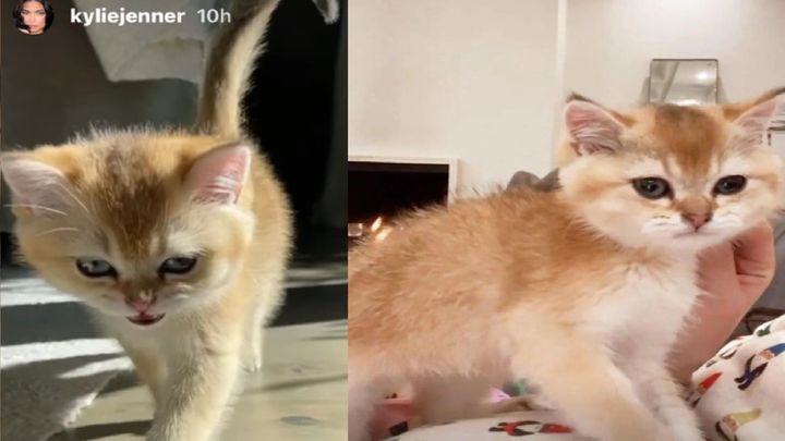 INSTAGRAM / Instagram