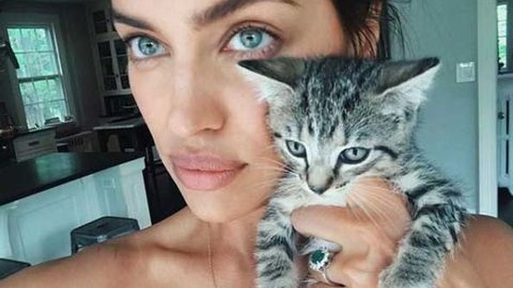 Gato de Irina Shayk / REDES SOCIALES