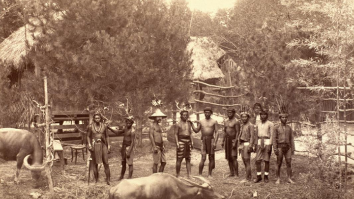 El Retiro convertido en selva filipina en 1888 / J. LAURENT