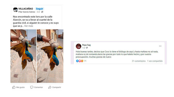 Búsqueda de Coco en Valdemoro / REDACTOR