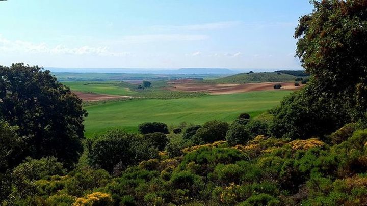 Paisaje de Daganzo de Arriba / AYTO DAGANZO DE ARRIBA