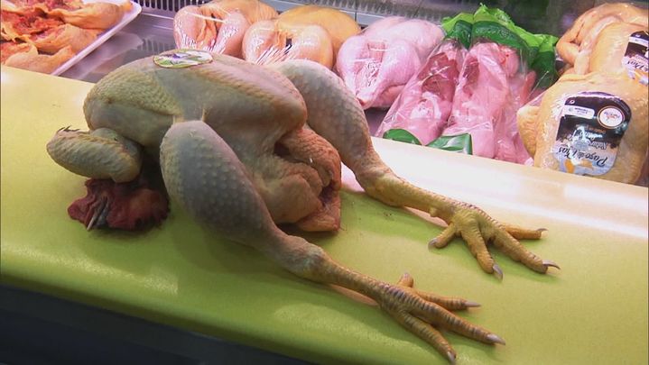 Pollo raza campera / Telemadrid