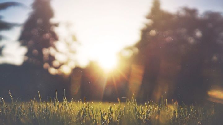 Hay que reducir el tiempo de exposición al sol para evitar insolaciones / DOMINIO PÚBLICO