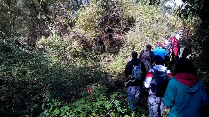 Un paseo por la ribera del Manzanares / P.O.