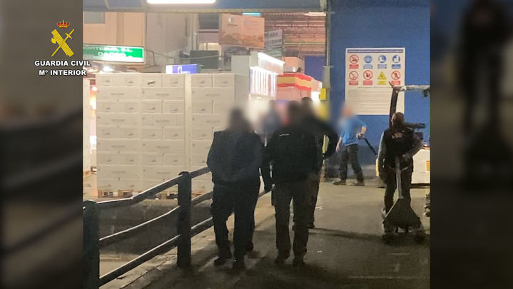 El SEPRONA desarticula un entramado de venta de pescado en mal estado / GUARDIA CIVIL