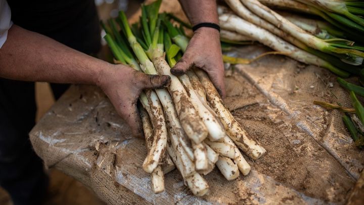 Calçotada / EUROPA PRESS