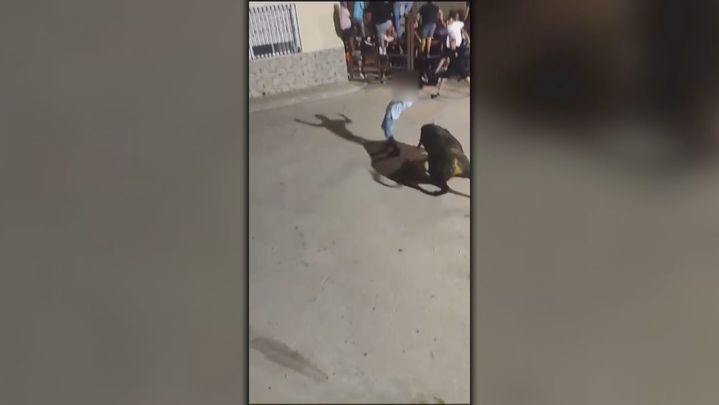 Cogida de un joven por un toro en Villaconejos / Telemadrid