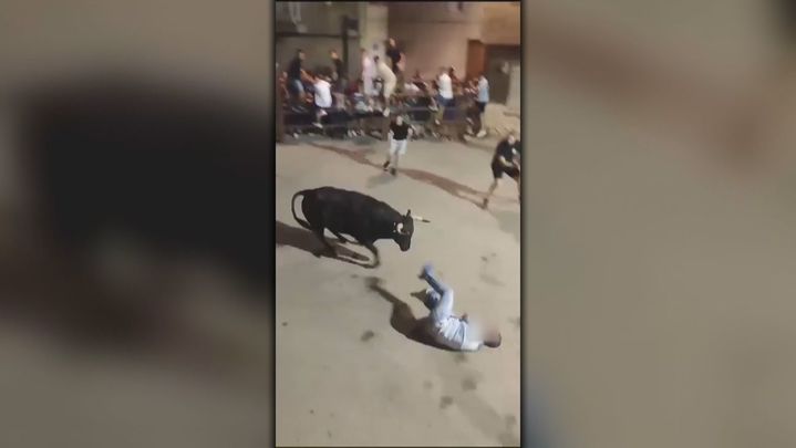Un joven grave tras ser corneado por un toro en Villaconejos / Telemadrid