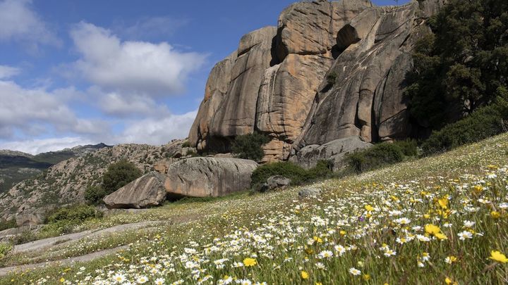 Entorno perteneciente a La Pedriza / EUROPA PRESS