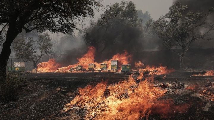 Incendios de Grecia / EFE