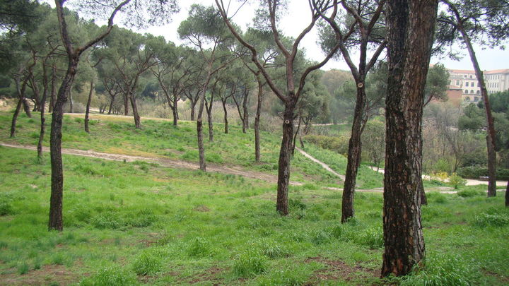 Dehesa de la Villa / WIKIPEDIA