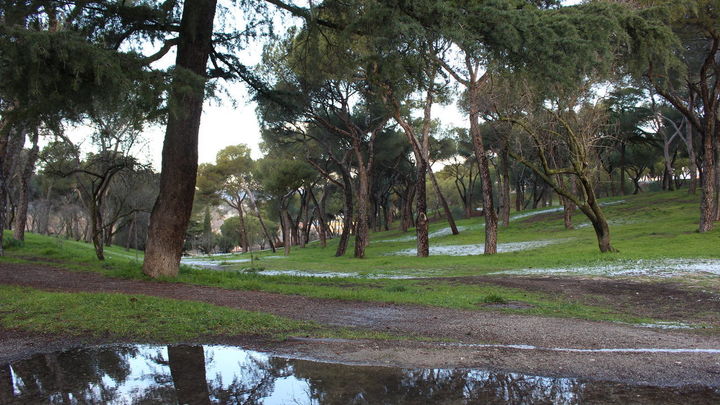 Nos siempre se llamó así / CMT