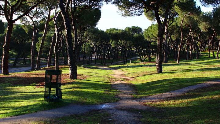 Está formada por 54 hectáreas de bosque / CMT
