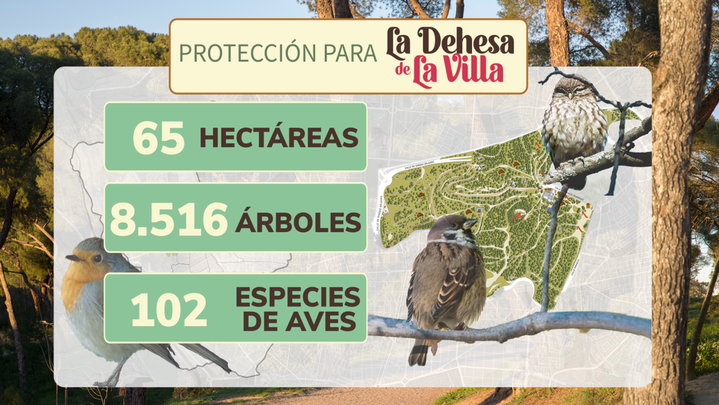 La Dehesa de la Villa / TELEMADRID