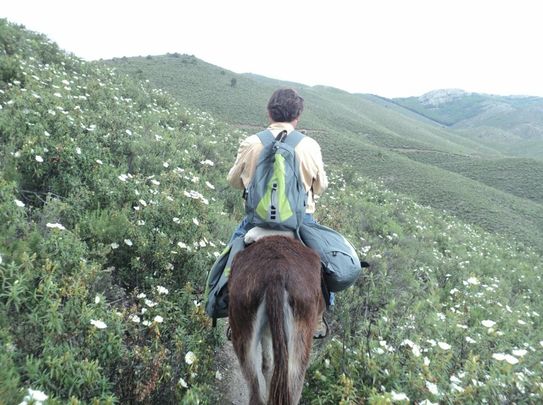 La Senda del Genaro en burro / SIERRA NORTE