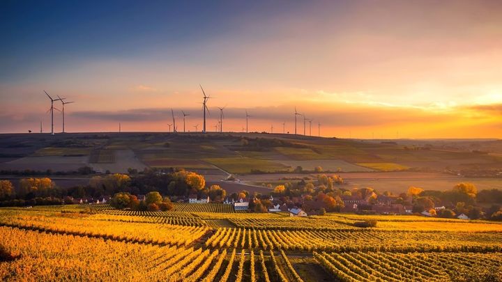 El Observatorio FITURNEXT, la plataforma de FITUR dedicada a promover buenas prácticas en turismo / FITUR