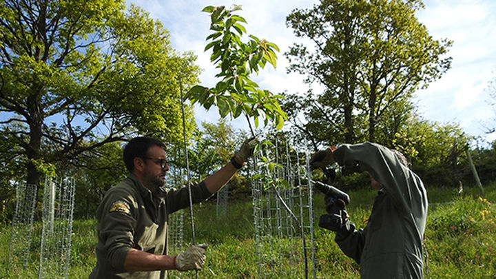 Fondo para la Protección de los Animales Salvajes / FAPAS