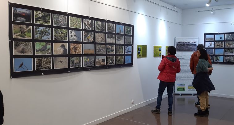 Exposición Entorno Meaques Retamares en el Centro Cultural Sara Montiel de Madrid / TELEMADRID