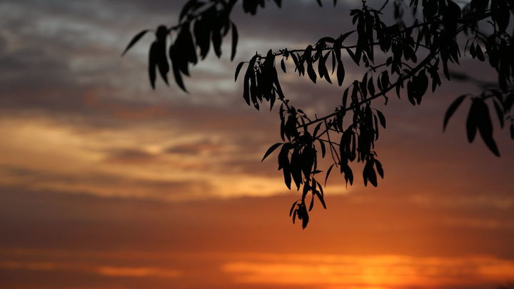 Atardecer en la Dhesa de la Villa / REDACCIÓN