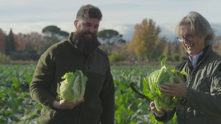 Poty y Ángel cogiendo coliflor / Telemadrid