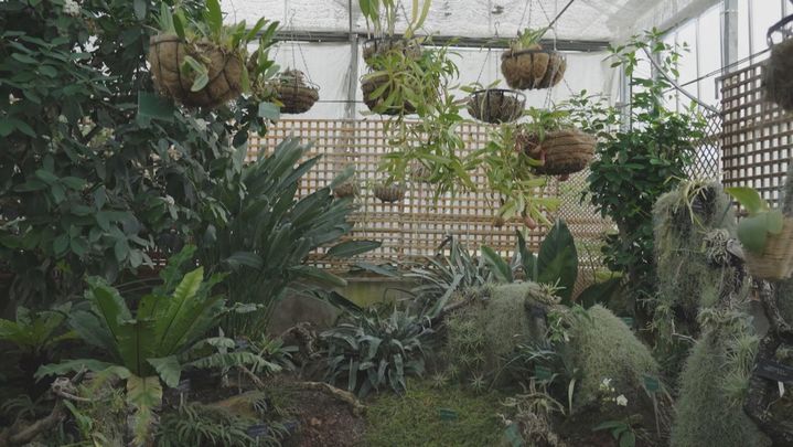 Real Jardín Botánico de Alcalá de Henares / Telemadrid