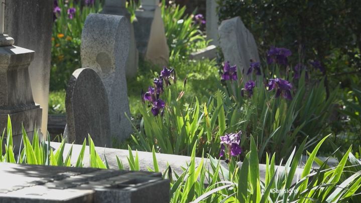 Cementerio británico en Carbanchel / Telemadrid