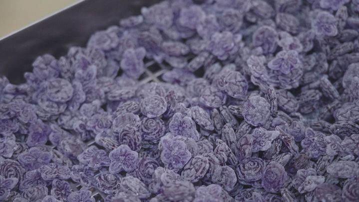 Caramelos de violeta / Telemadrid