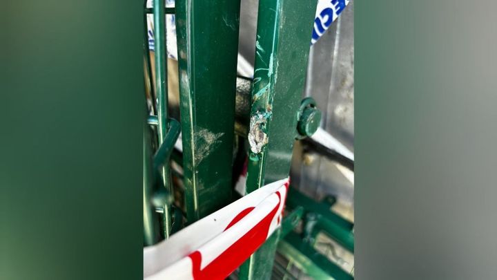 Vallas robadas de una zona canina de Loranca / GUARDIA CIVIL