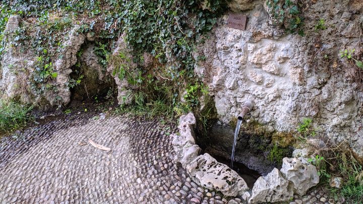 Manantial de la Salud del Parque del Oeste / Javier Villarrubia