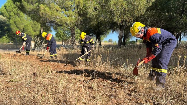 Trabajos de Protección Civil para prevención de incendios / telemadrid