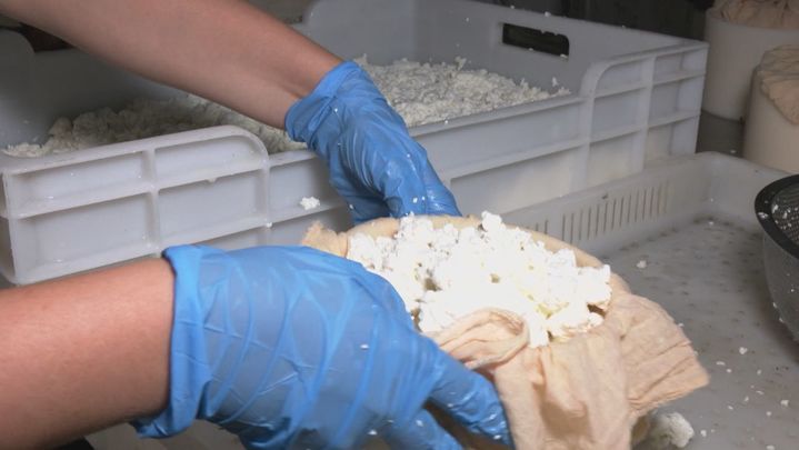 El queso se introduce en moldes / REDACCION