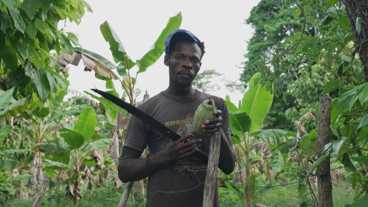 Trabajador de República Dominicana / TELEMADRID