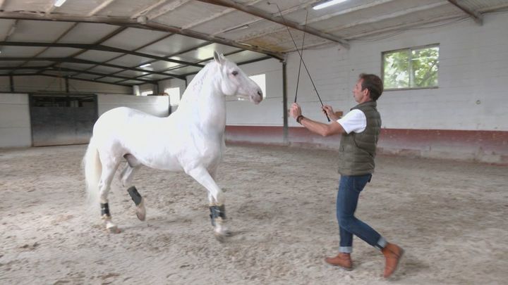 Caballos de cine / REDACCION