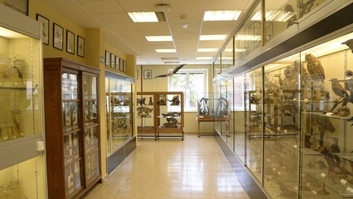 Museo de Fauna Ibérica “Antonio Notario” / UPM