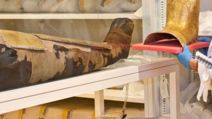 Almacenes del Museo Arqueológico Nacional / MAN