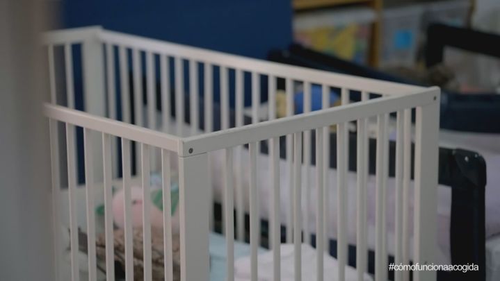 Nido, famlia de acogida / Redacción