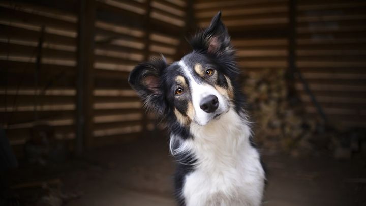 En Puente de Vallecas hay censados más de 27.000 / EUROPA PRESS