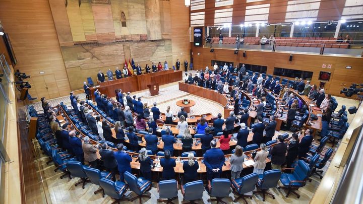 Minuto de silencio en la Asamblea de Madrid / EUROPA PRESS
