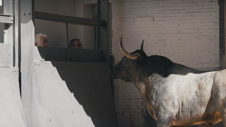 Mayoral en Las Ventas / Redacción