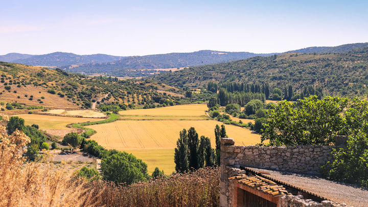 Monte, tierras de cultivo y arbolado ribereño en Ambite / COMUNIDAD DE MADRID