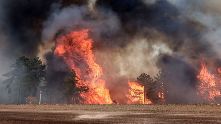 Incendios en Turquía / AGENCIAS