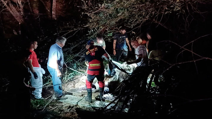 Momento del rescate a una vaca en Rascafría / 112 Comunidad de Madrid