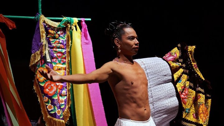 Réquiem para un alcaraván Lukas Avendaño / EuropaPress