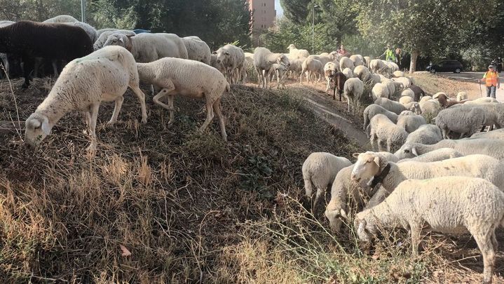 Su labor para prevenir incendios es esencial / EUROPA PRESS